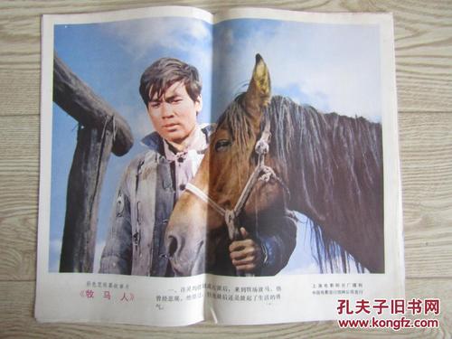 哪里能办护士中专毕业证